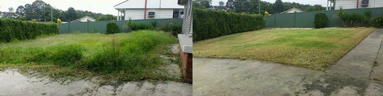 before and after property cleanup